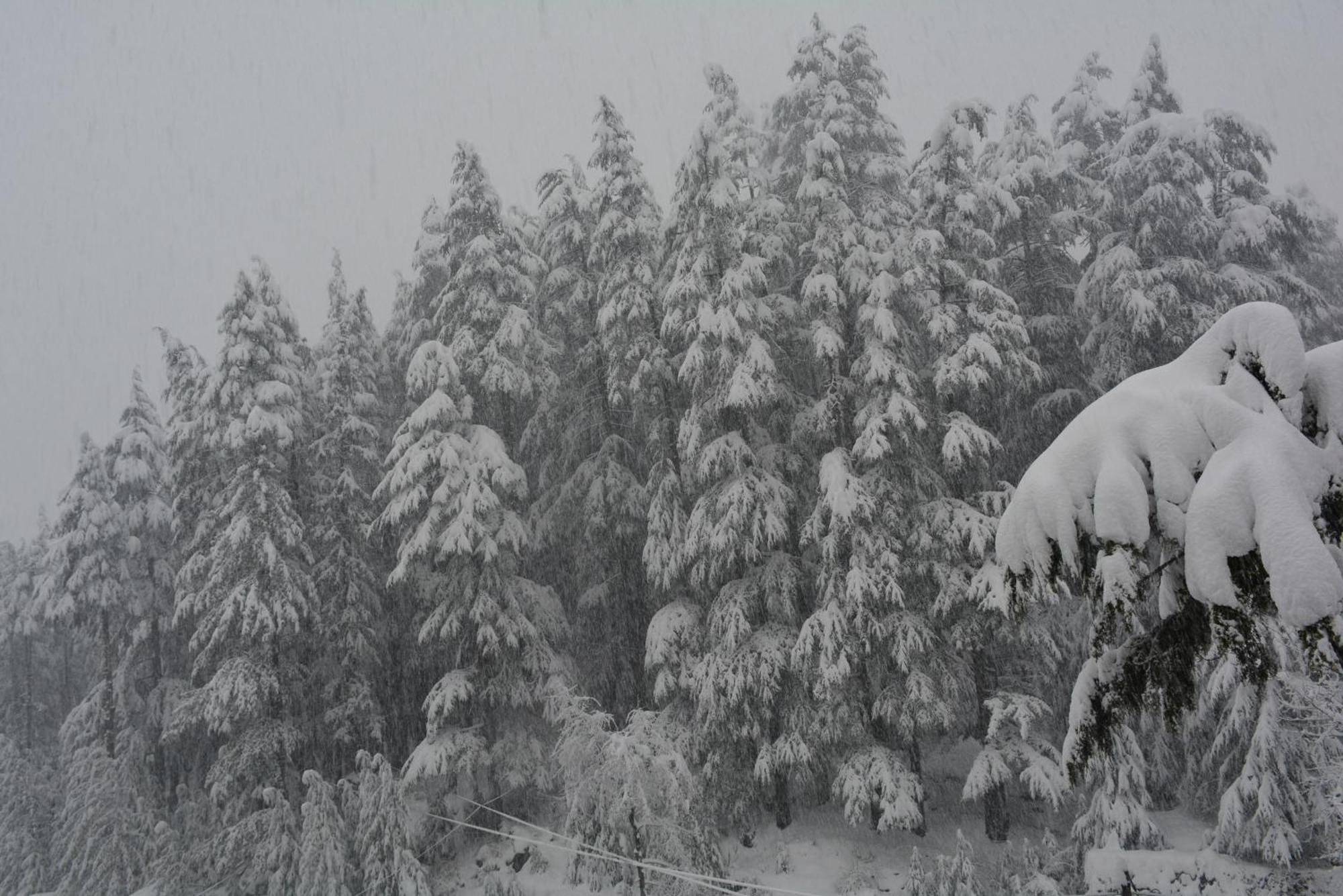 The Neelgiris Hotel Manali  Exterior photo